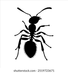 Ant preto silhueta vetor ilustração no fundo branco