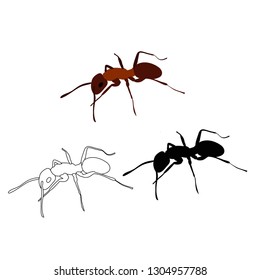 ant, brown, silhouette and sketch, vector