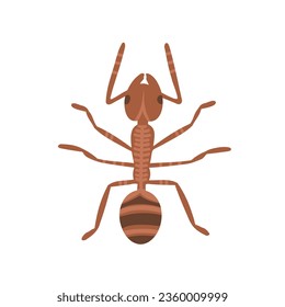 hormiga, animal de insectos. Ilustración vectorial para impresión, fondos, cubiertas y embalaje. La imagen se puede usar para tarjetas de felicitación, carteles, pegatinas y textiles. Aislado sobre fondo blanco.