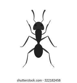 Ant, bug, insect icon vector image. Can also be used for Animals and Insects. Suitable for mobile apps, web apps and print media.