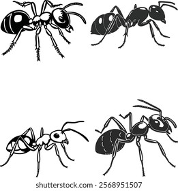 Ant bundle line art and illustrator eps