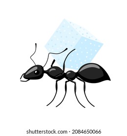 Ant carrying food isolated on white background. Bug carrying cube of sugar and walking to the anthill. Vector illustration.