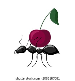 Ant carrying food isolated on white background. Bug carrying cherry and walking to the anthill. Vector illustration.