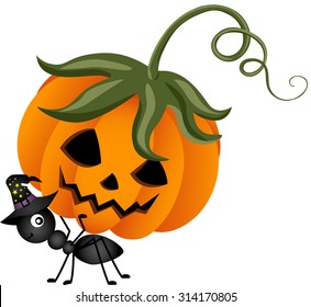 Ant Carrying a Halloween Pumpkin