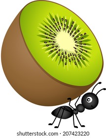 Ant Carrying Kiwi