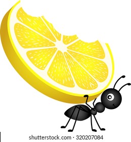 Ant carrying a lemon