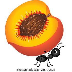 Ant carrying a peach