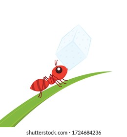 Ant carrying sugar. Ant vector. Ant character design. Ant on the leaf.