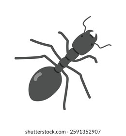 Ant cartoon clipart. Cute common black ant (Lasius niger) vector illustration. Animal in flat style. Insects and anthropods concept isolated on white background