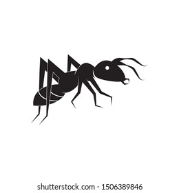 Ant cartoon icon and symbol vector illustration