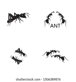 Ant cartoon icon and symbol vector illustration