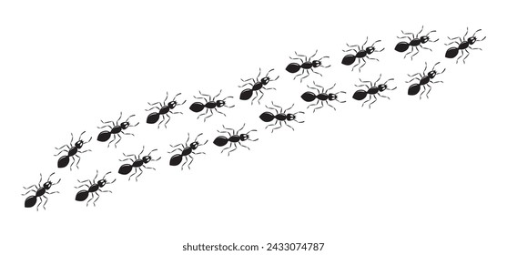 Ant chain, small pest trail, insect marching, animal colony, black silhouettes bug top view isolated on white background. Simple vector illustration