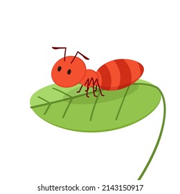 Ant character vector. Ant on white background. Ant on the leaf.