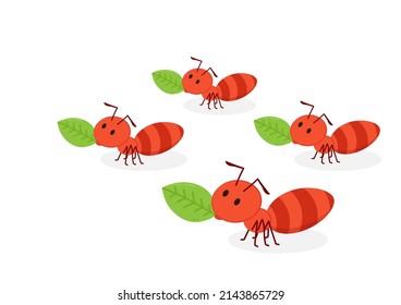 Ant character vector. Ant on white background.
