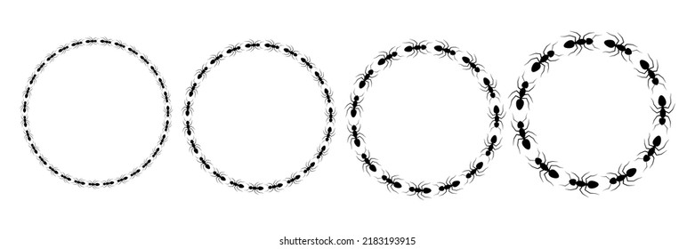 Ant circular frame trail set. Worker ants colony line route teamwork. Vector isolated on white.