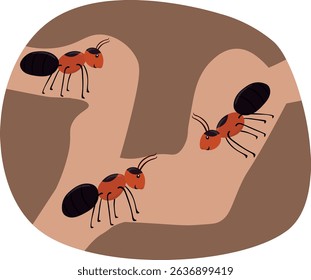Ant colony living underground illustration, vector