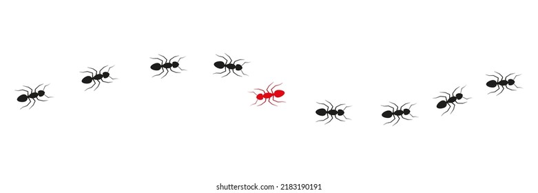 Ant colony trail. One ant changing direction. Think differently concept. Vector isolated on white.