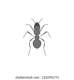 ant colored outline icon. One of the collection icons for websites, web design, mobile app