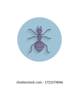 Ant colorful flat icon with long shadow. Ant flat icon
