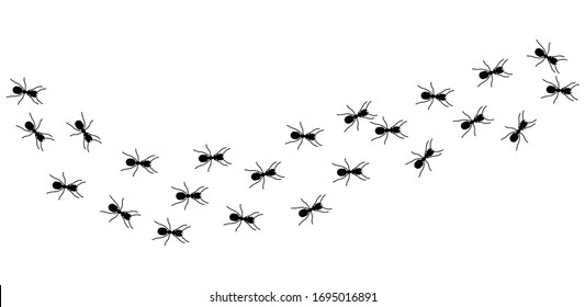 Ant column. Black insect silhouettes trip. Teamwork, hard work metaphor. Forest life, isolated ants marching vector illustration