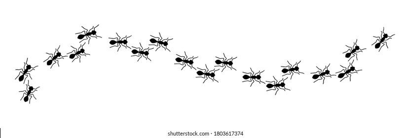 53,717 Ant Isolated Images, Stock Photos & Vectors | Shutterstock