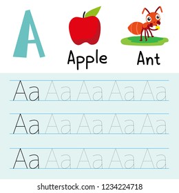 ant drawing vector design
