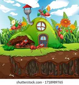 Ant family at the house illustration