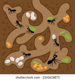 ant hill cartoon