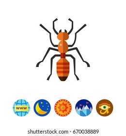 Ant flat icon