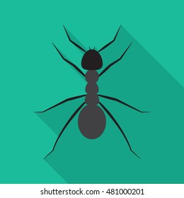 ant flat icon. You can be used ant icon for several purposes like: websites, UI, UX, print templates, promotional materials, info-graphics, web and mobile phone apps.