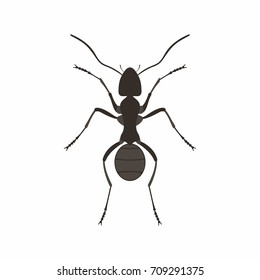 Ant in flat style on white background