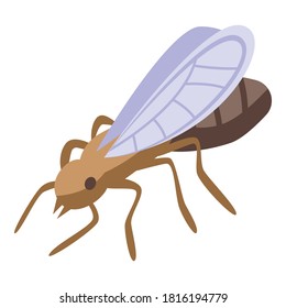 Ant fly icon. Isometric of ant fly vector icon for web design isolated on white background