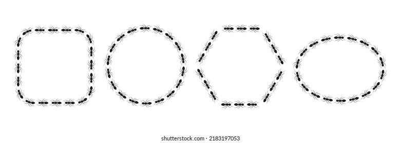 Ant geometric shapes trail set. Worker ants colony line route teamwork. Vector isolated on white.