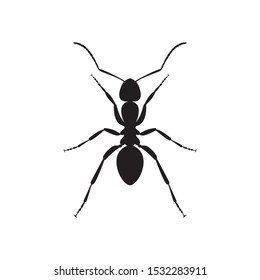 ants in a line clipart