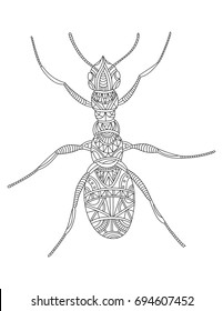   Ant graphic vector illustration