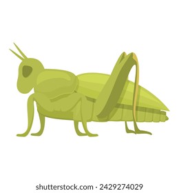 Ant grasshopper icon cartoon vector. Jump small. Animal bug insect