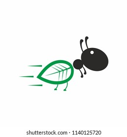 Ant with green leaf logo icon. Vector