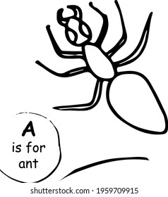 Ant hand drawn vector sketch llustration. Doodle. Great for kids, poster, print, child learning material, alphabet, wrapping paper, print.
