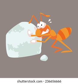 the ant has stealing sugar.