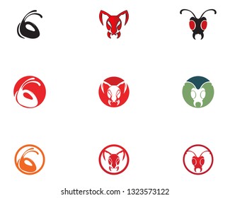 Ant head Logo template vector illustration design
