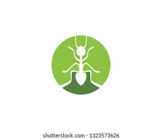 Ant head Logo template vector illustration design
