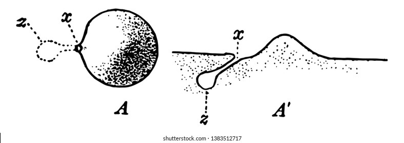 Ant Hill Stage 1 which is a small mound of earth thrown up by the queen when starting her formicary, vintage line drawing or engraving illustration.