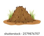 Ant hills with colony of ants working around the nest