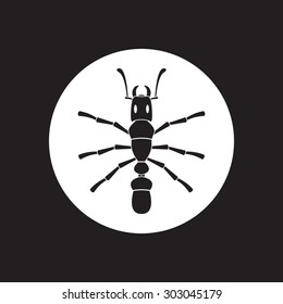 Ant icon