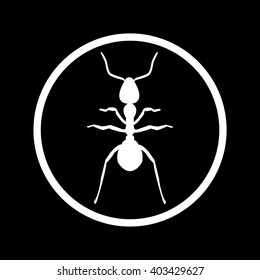Ant Icon