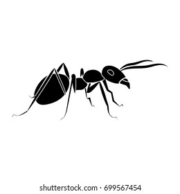 Ant Icon .