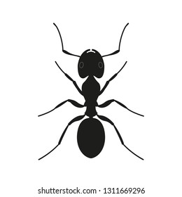 Ant icon. Black Silhouette of an ant. Insect logo. Vector illustration.