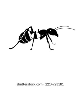 Ant. Icon. Black and white vector illustration