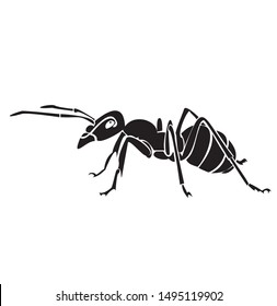 ant icon is designed using black