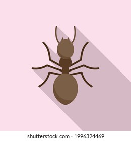 Ant icon. Flat illustration of Ant vector icon for web design